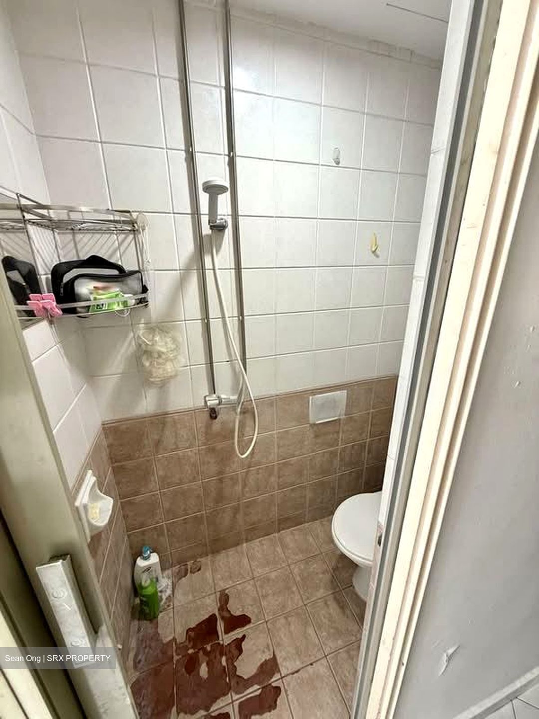 The Sunny Spring (D14), Apartment #535392211